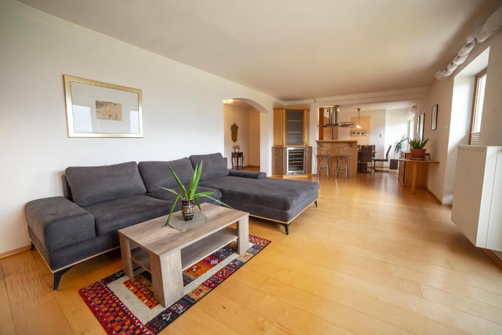 Canisiusbrünnl Self- Check in - 16