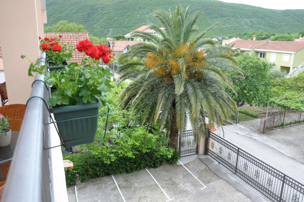 a palm tree on a balcony with flowers at Apartments Royal in Budva