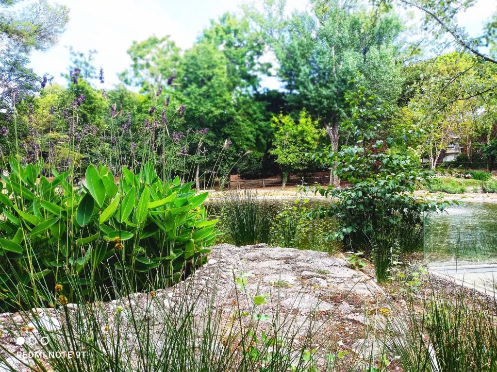 Hotel Garisenda B&B - in Centro a Riccione - - Resim 42