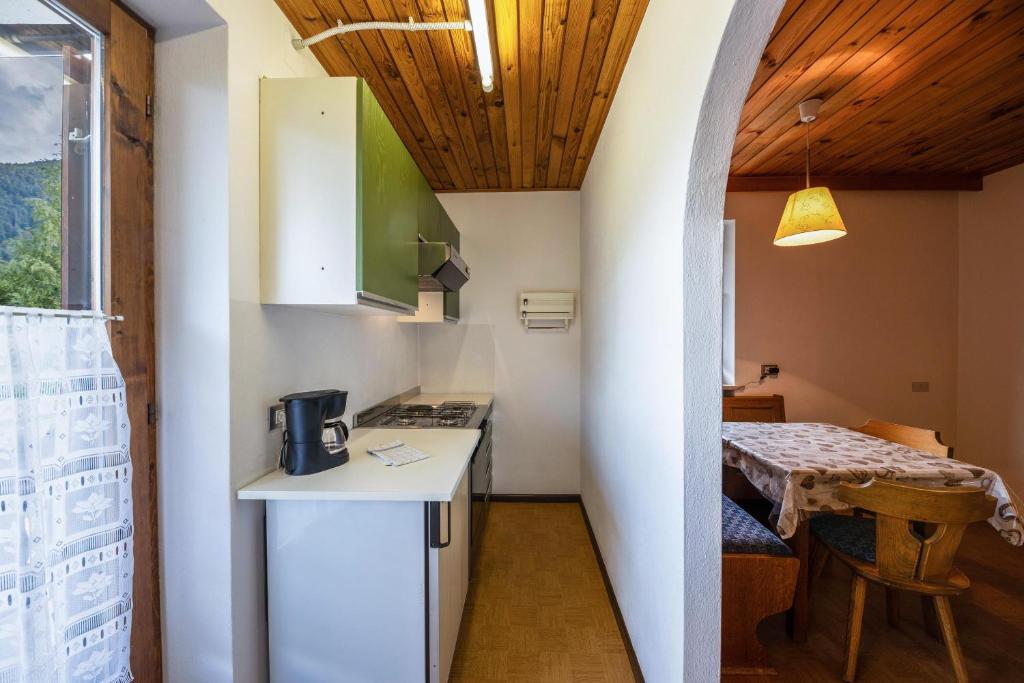 Kuchyň nebo kuchyňský kout v ubytování Grödnerhof Peter