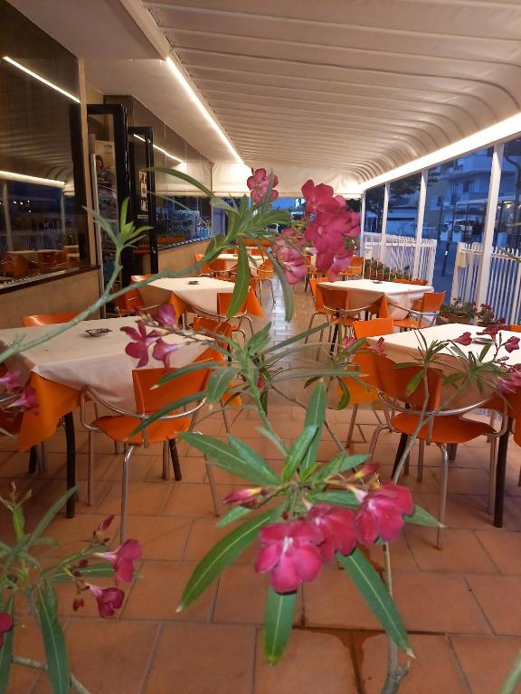 Restaurace v ubytování Hotel Adler