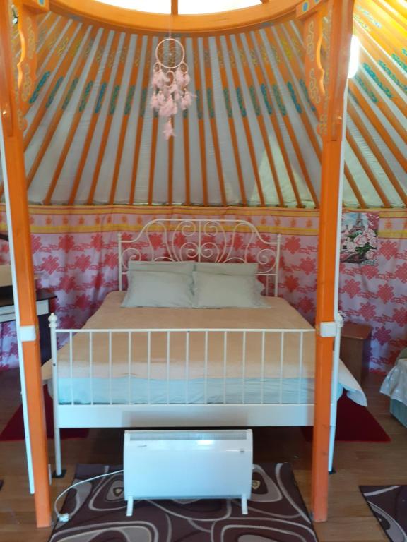Yurt camping