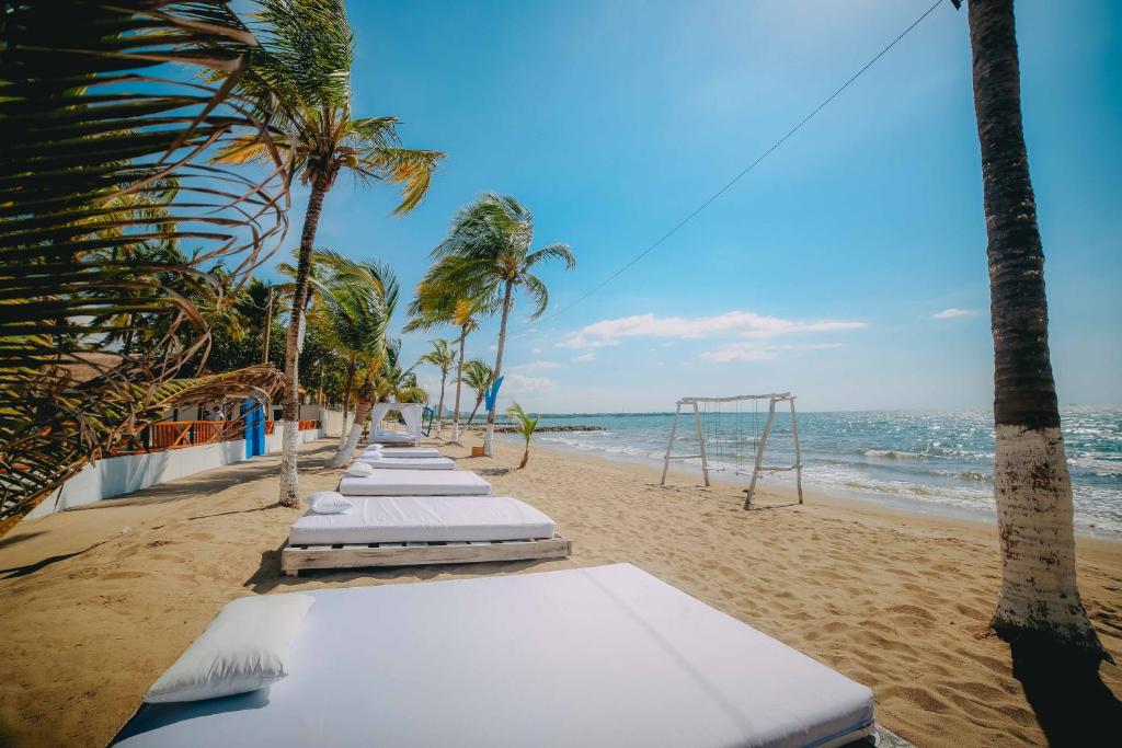 a row of white mattresses on a beach with palm trees at Hotel Kpre Coveñas in Coveñas
