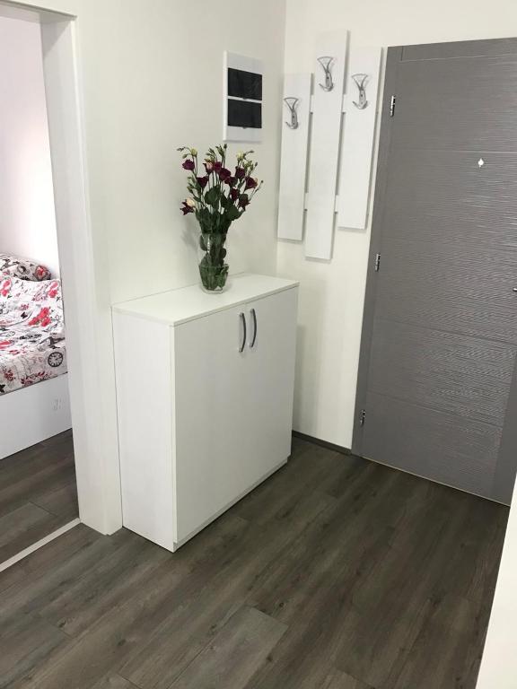 Fotografie z fotogalerie ubytování La Apartamento v destinaci Jagodina