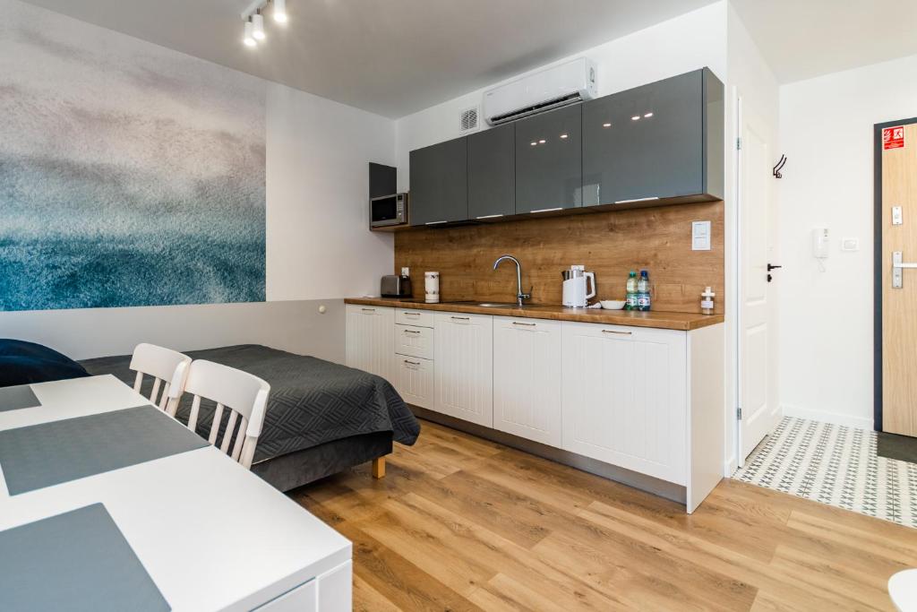 TV a/nebo společenská místnost v ubytování APARTAMENTY MIERZEJA - STEGNA PARK STUDIO, 500 m od plaży