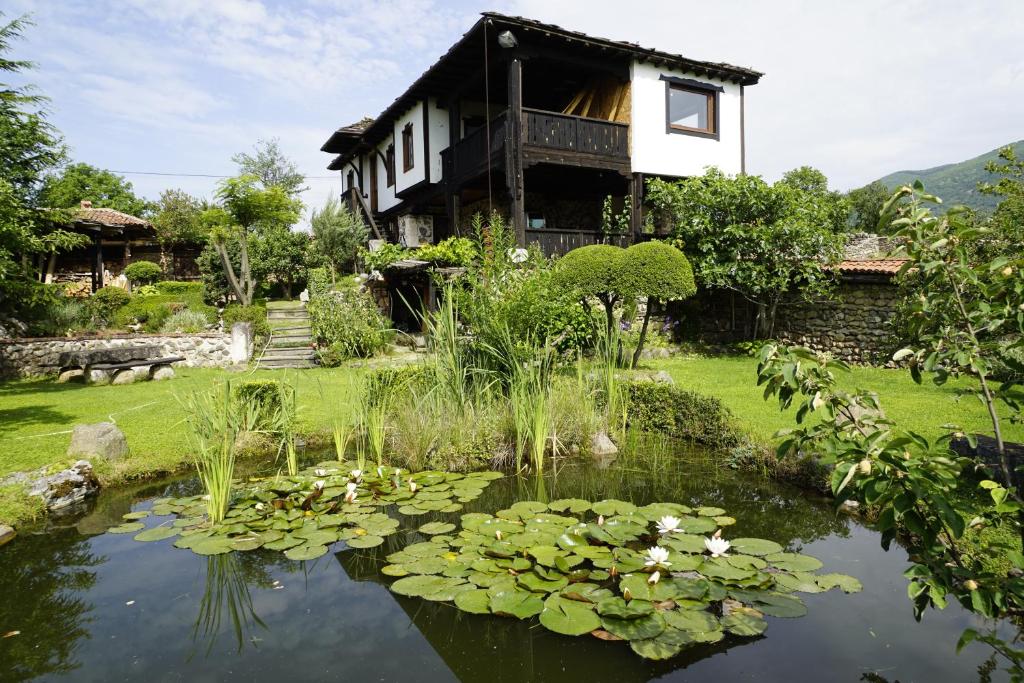 a house with a pond with lilies in front of it at Старата къща / село Тъжа in Tŭzha
