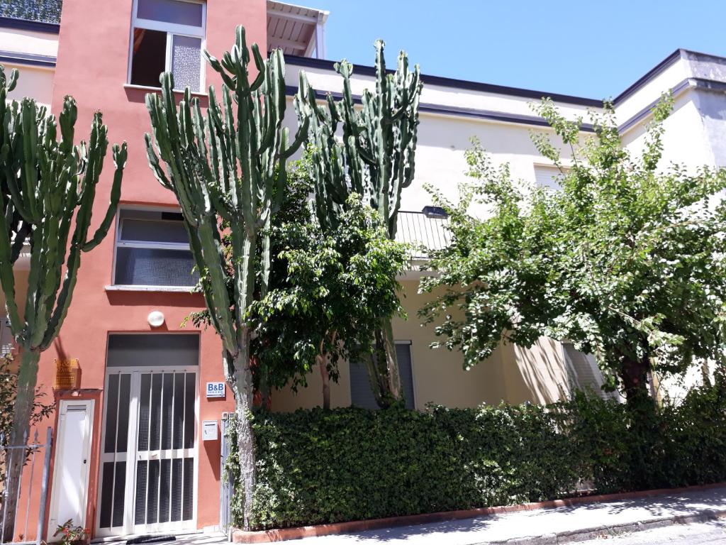 une maison avec des arbres devant elle dans l'établissement Porto di Mare, à Praia a Mare