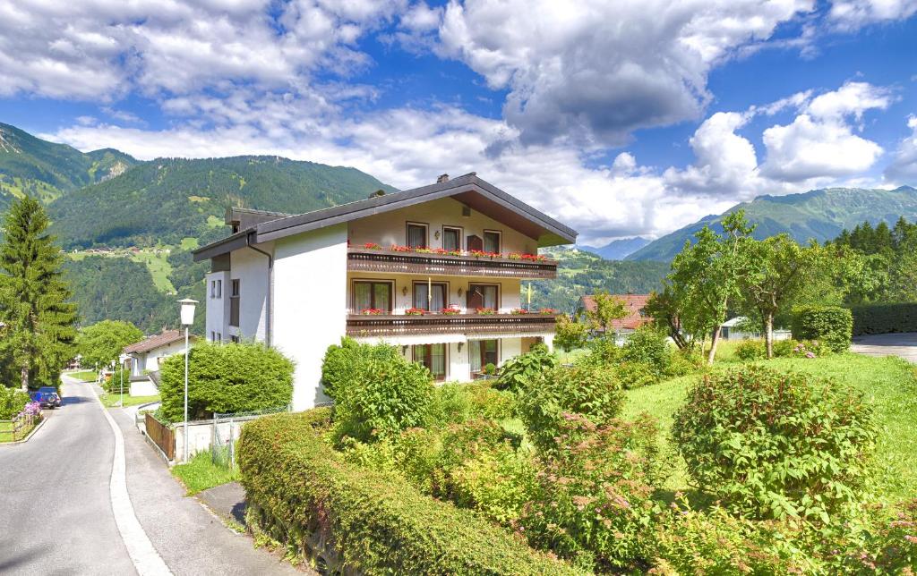 Příroda nedaleko apartmánu