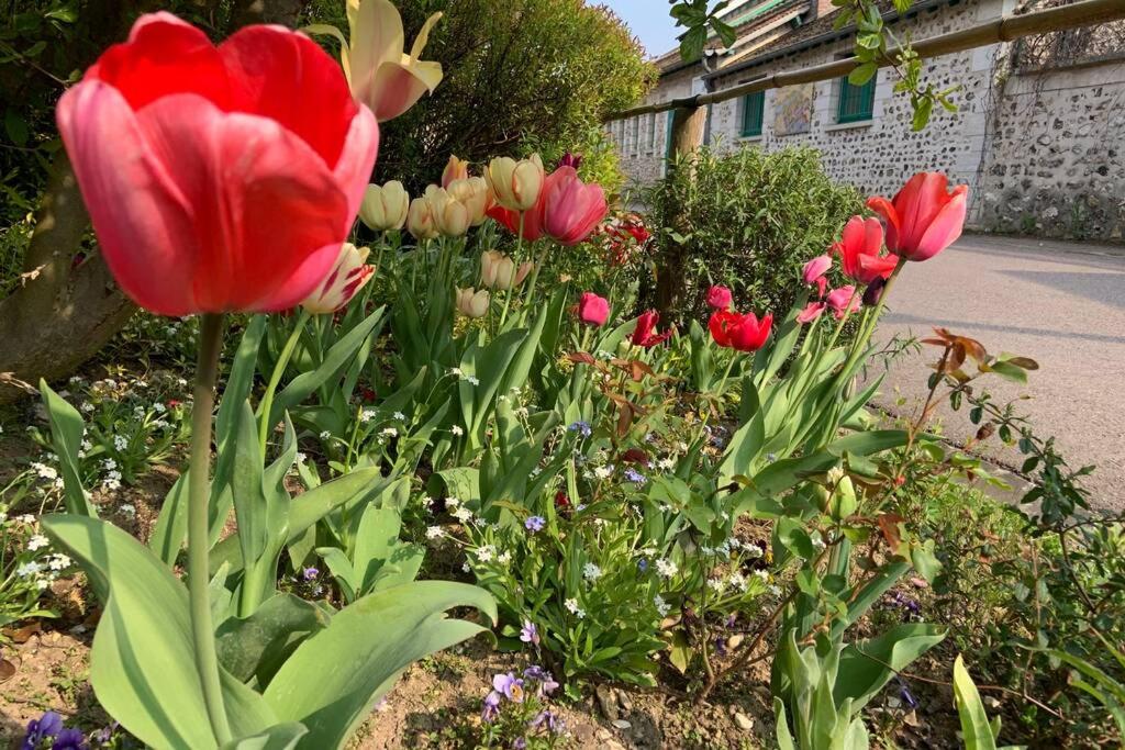 Une bande de tulipes rouges dans un jardin dans l'établissement Le Clos de l'Eglise - Blanche, à Giverny