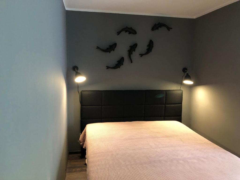 Studio Apartment in Dresden-Neustadt - 2