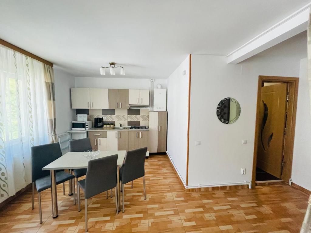 eine Küche und ein Esszimmer mit einem Tisch und Stühlen in der Unterkunft Garsoniera Family in Buşteni