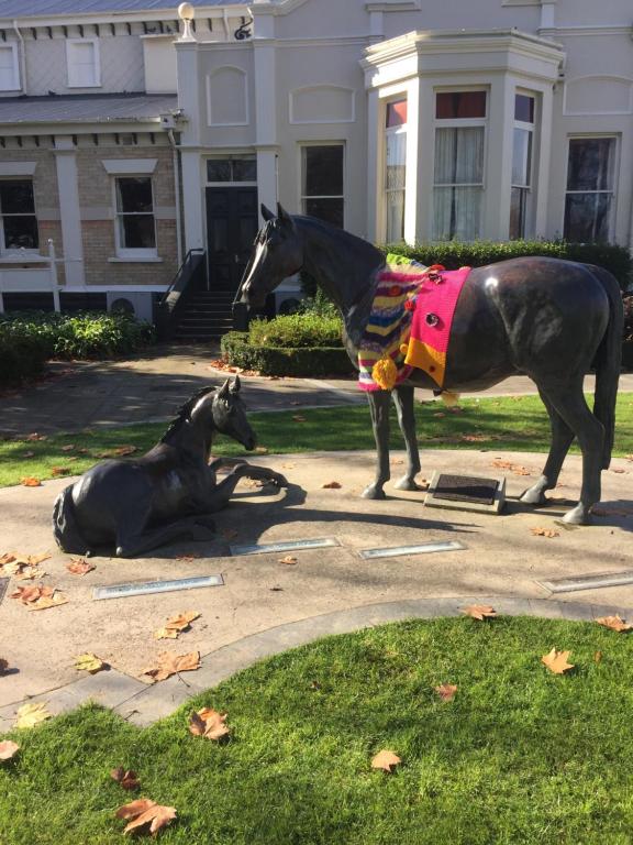 Kingsley Quarters - Resim 27