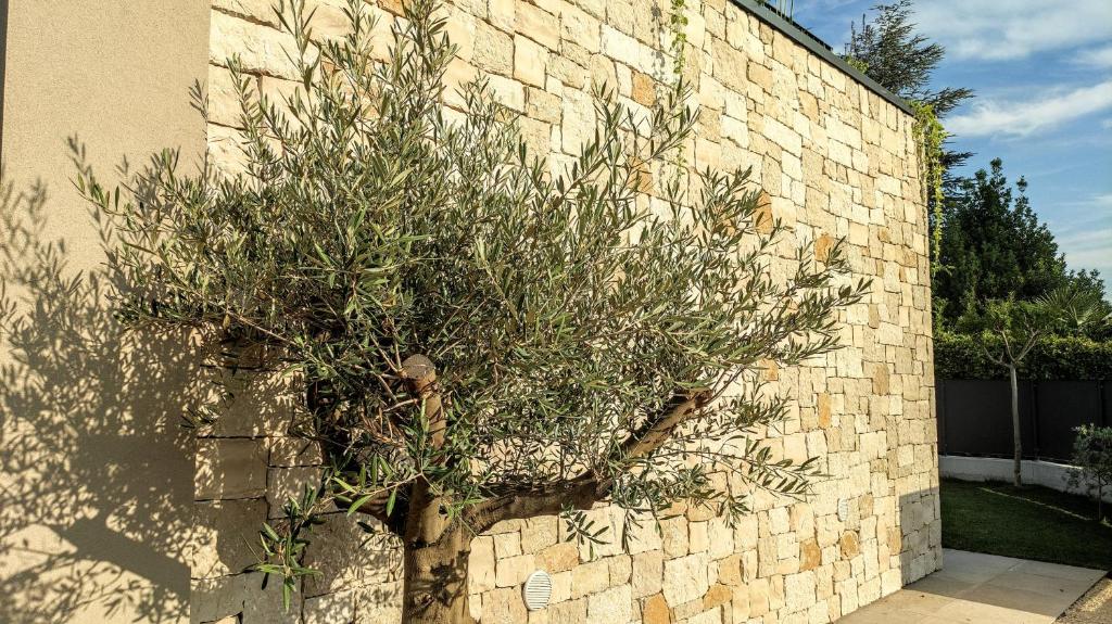 Fotografie z fotogalerie ubytování Villa Agapanto v destinaci Pacengo di Lazise