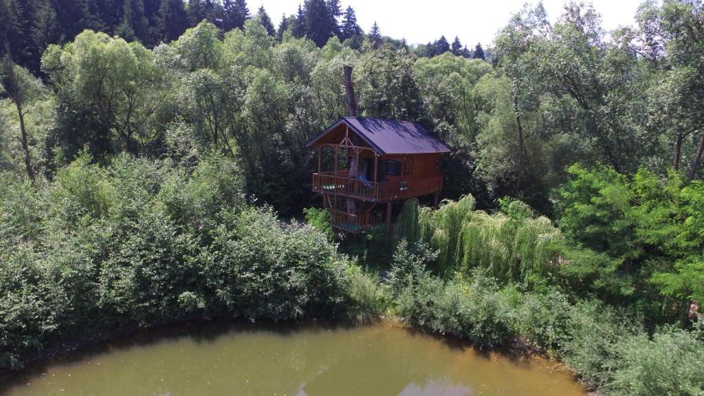an aerial view of a tree house next to a river at Cuibul Vulturilor - Casuta in Copac in Moisei