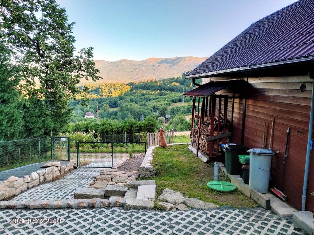a dog is standing next to a house at Kuligowka Szklarska Poreba in Szklarska Poręba