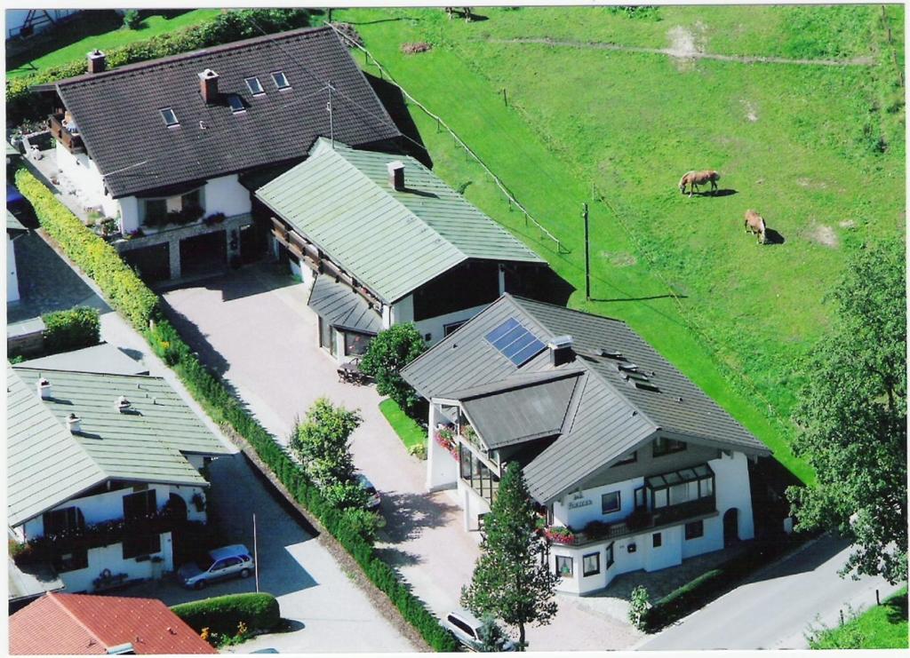 eine Aussicht auf ein Haus mit einer Kuh auf dem Feld in der Unterkunft Gästehaus Friedlich in Schönau am Königssee
