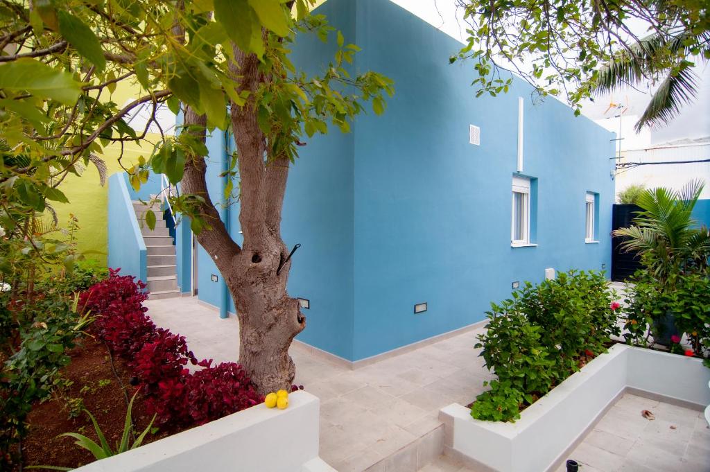 een blauw gebouw met een boom ervoor bij La Huerta de Manuel in Tejina