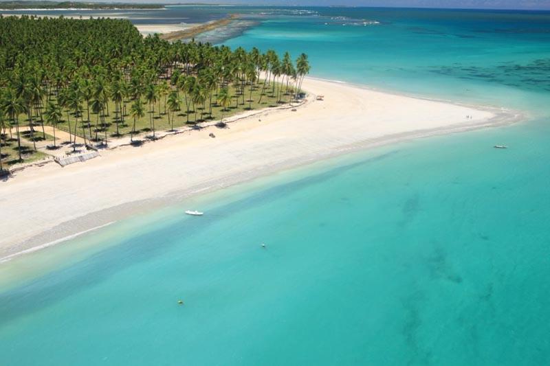 una vista aérea de una playa con palmeras y el océano en Flat no Carneiros Beach Resort, en Tamandaré