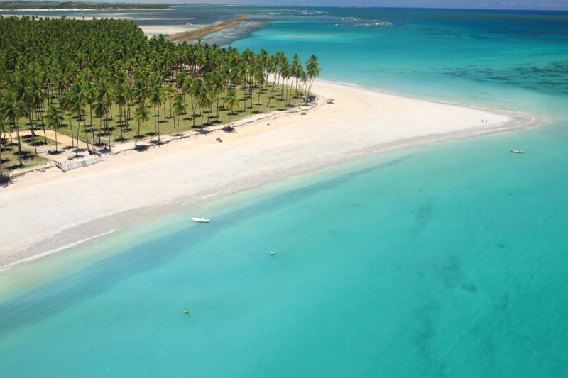 an aerial view of a beach with palm trees and the ocean at Flat no Carneiros Beach Resort in Tamandaré