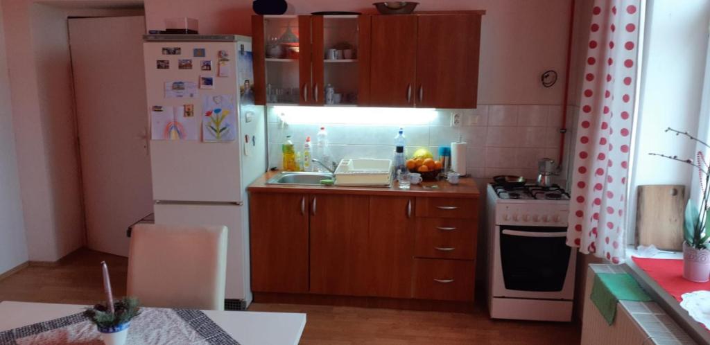 Kuchyňa alebo kuchynka v ubytovaní Salki Apartman