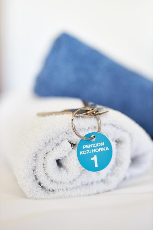 Penzion Kozí Horka u Brněnské přehrady - 18