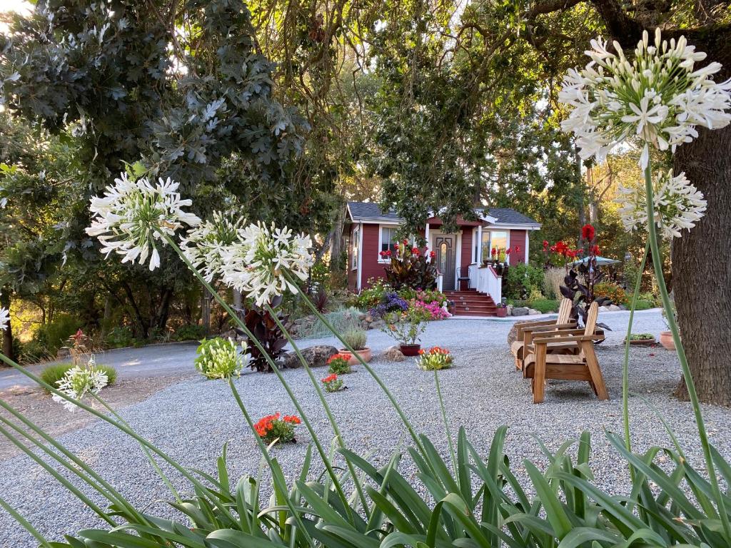 einen Garten mit einer Bank und Blumen vor einem Haus in der Unterkunft Amitabha Wine Country Cottage in Santa Rosa