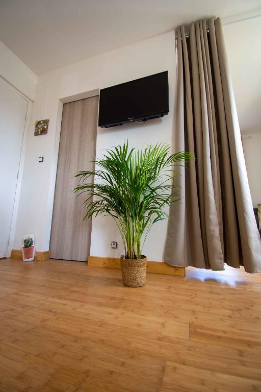 TV a/nebo společenská místnost v ubytování Chambres 2 caps