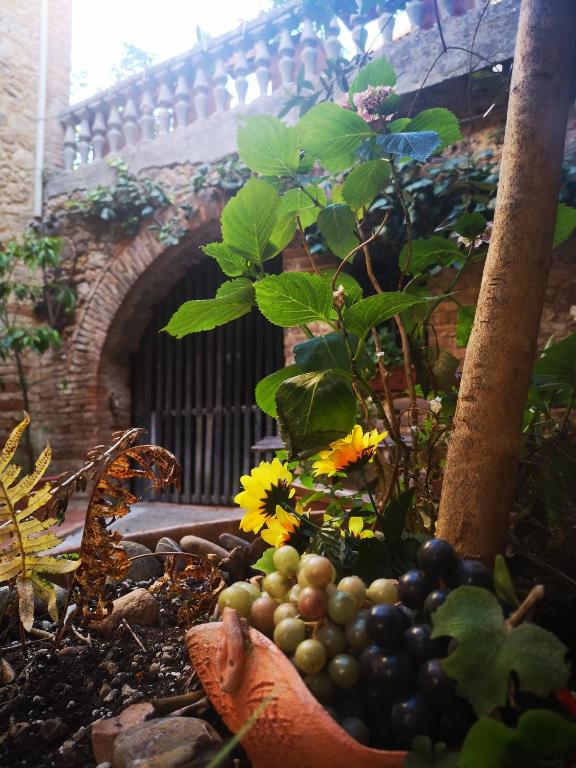Zahrada ubytování Antico Borgo di Torri