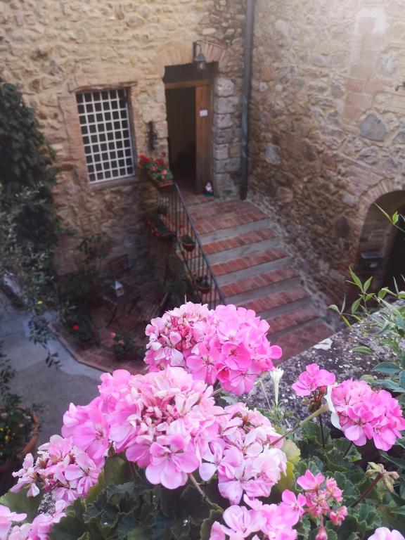 Zahrada ubytování Antico Borgo di Torri