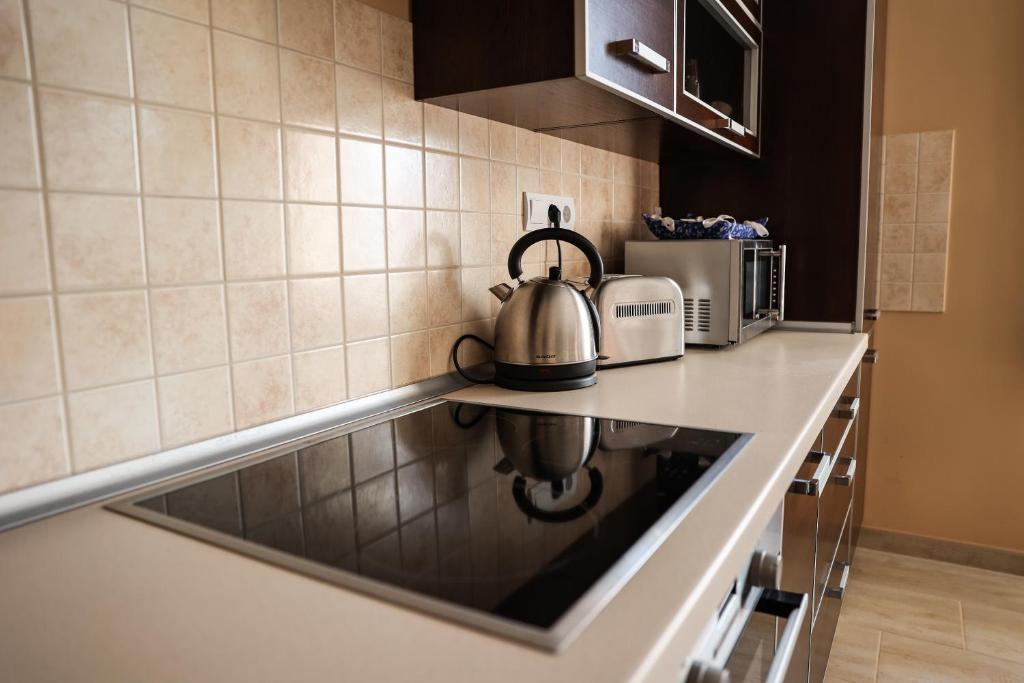 Kuchyň nebo kuchyňský kout v ubytování Szarvas apartman - Jakuzzis Vendégház Mány