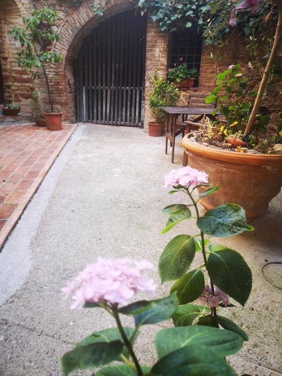 Zahrada ubytování Antico Borgo di Torri