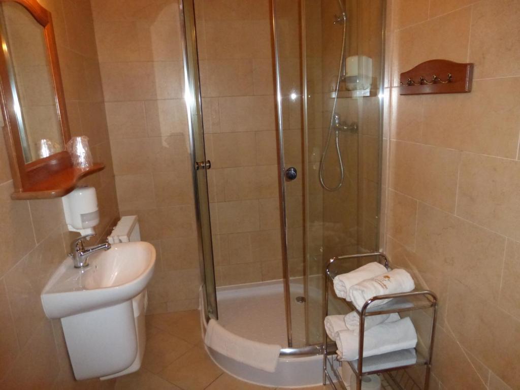 Hotel Dwór Karolówka - Resim 24