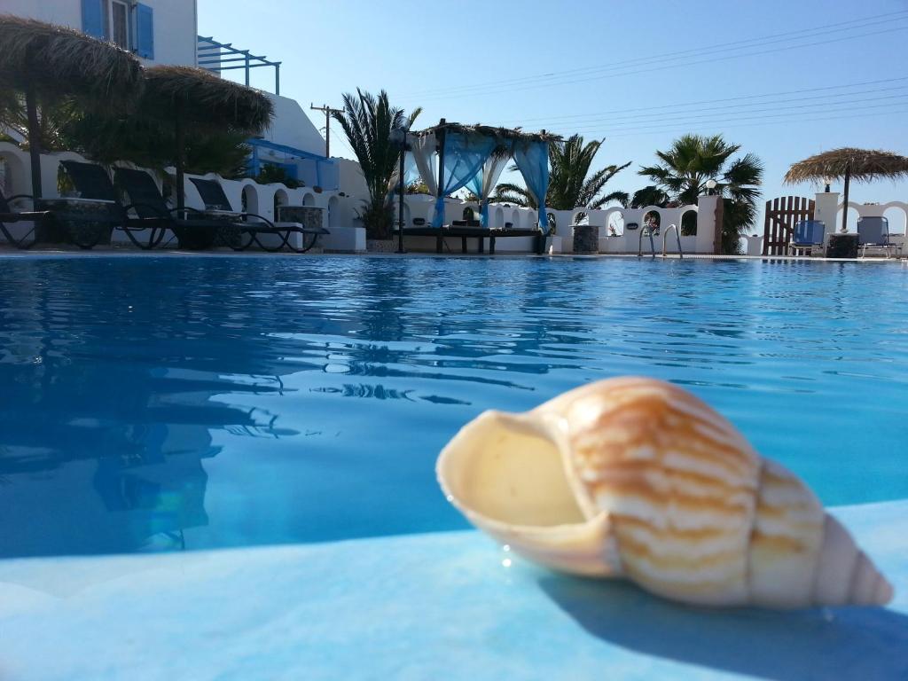 una concha en la piscina de un complejo en Villa Livadaros, en Karterados