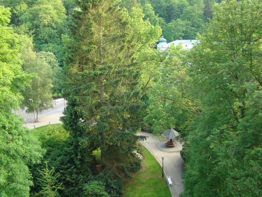 Hotel Saint Petersburg - Resim 45