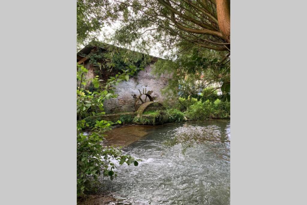 a picture of a river with trees and a building at Le Moulin de la Planquette in Cavron-Saint-Martin