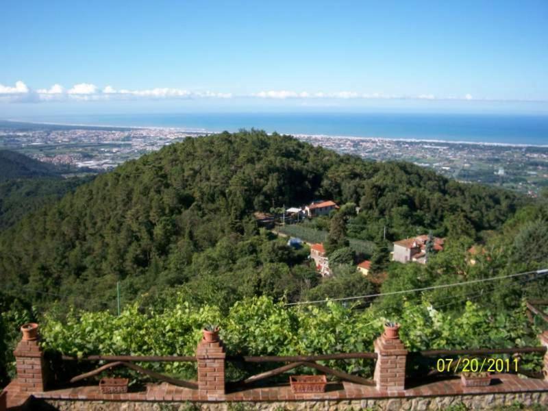 Blick auf einen Hügel mit Bäumen und das Meer in der Unterkunft Casa Vacanza Bel Panorama Collina Versilia in Culla