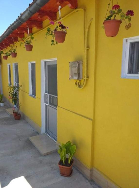 um edifício amarelo com vasos de plantas ao lado em Casa Denisa em Sulina