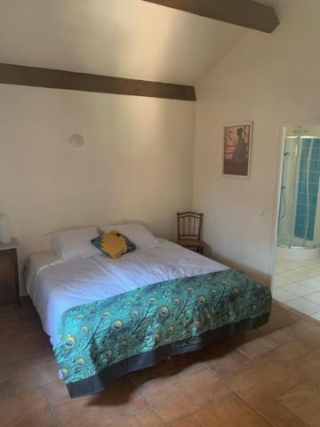 Chambres d'hôtes la Soulenque Luxury B & B - King Room With Garden View
