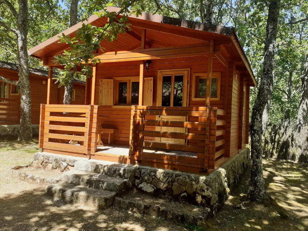 una pequeña cabaña de madera en el bosque con árboles en Camping Las Cavenes en El Cabaco