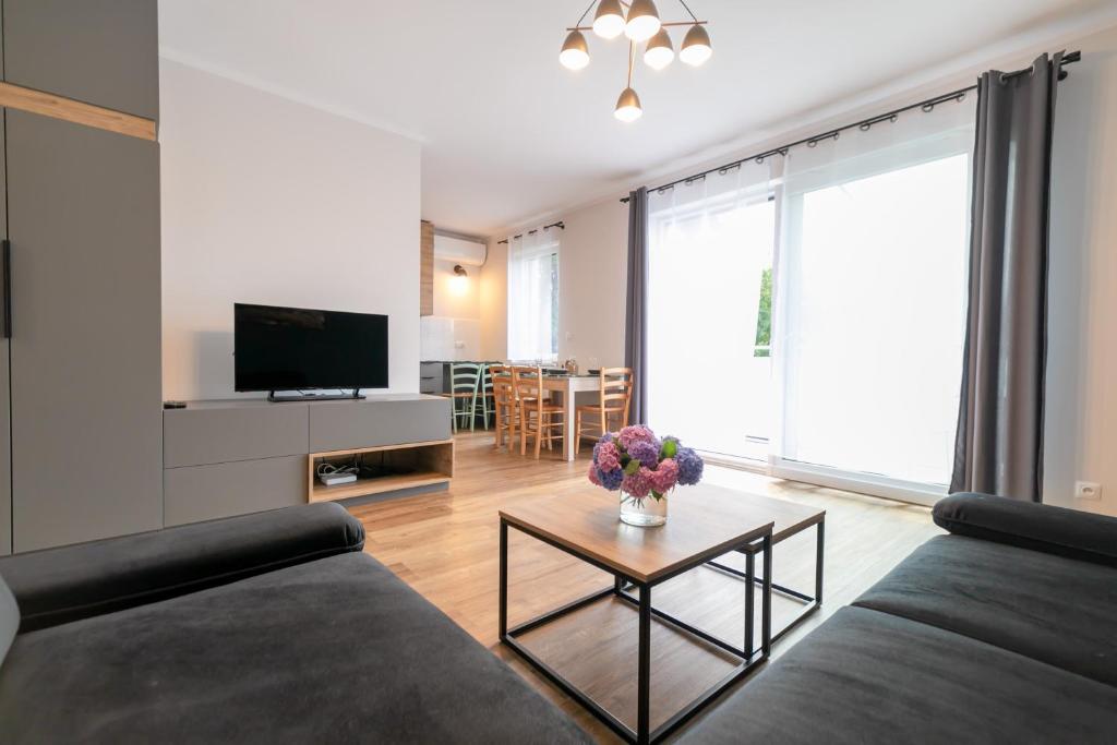 Televízia a/alebo spoločenská miestnosť v ubytovaní Apartamenty Pod Lasem z klimatyzacją i 2 sypialniami - Dream Apart