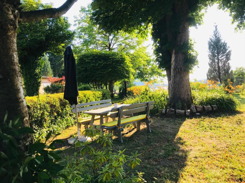 a park bench under a tree with an umbrella at Georgihof im Park in Unterburg am Klopeiner See