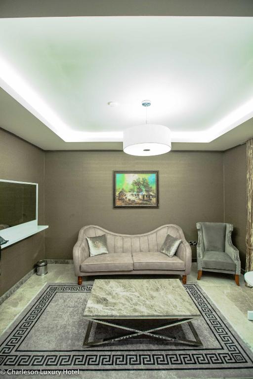 TV a/nebo společenská místnost v ubytování Charleson Luxury Hotel