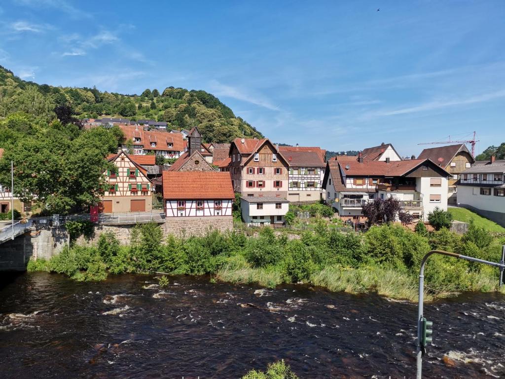 a town next to a river with houses at Hotel Grüner Baum - Melissone Italian Restaurant in Weisenbach