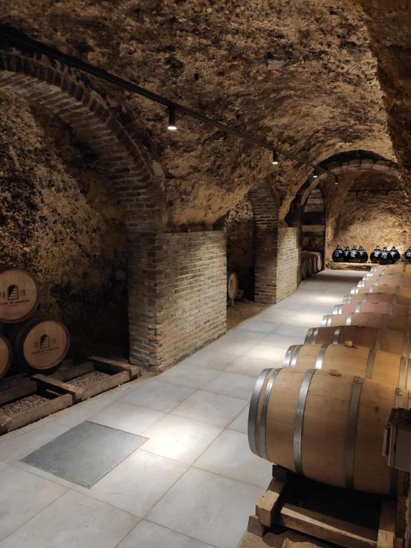 une cave à vin avec une rangée de tonneaux de vin dans l'établissement Posada Mayor de Migueloa, à Laguardia