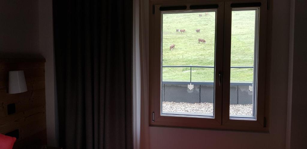 AUBERGE DES GLIERES Plateau des Glières - Suite