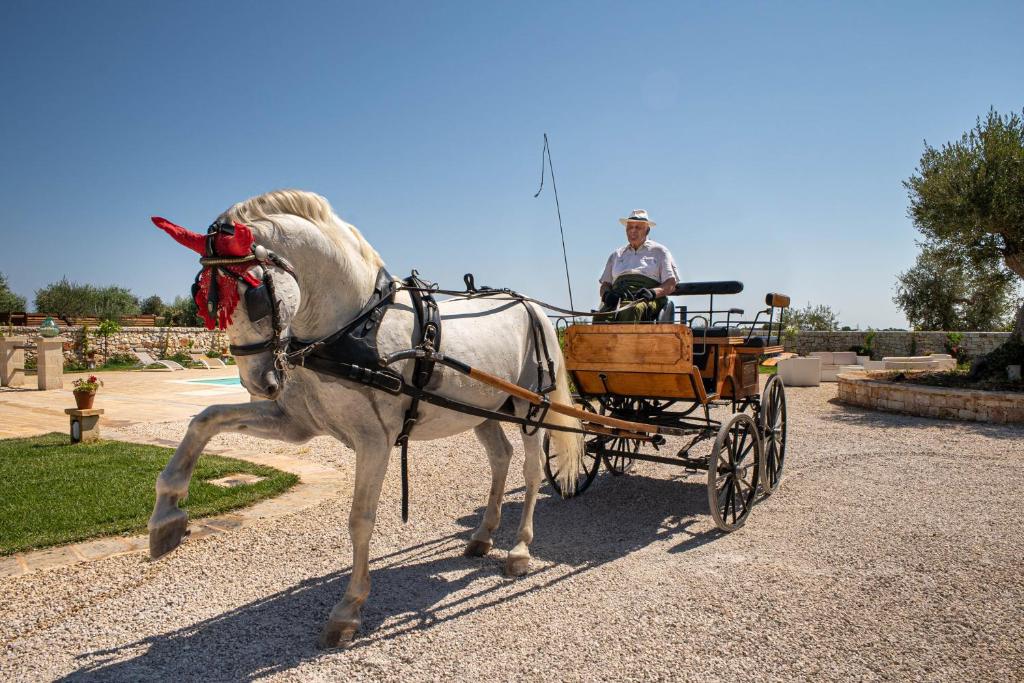 Hosté ubytování TERRA TERRA - Masseria Minunni