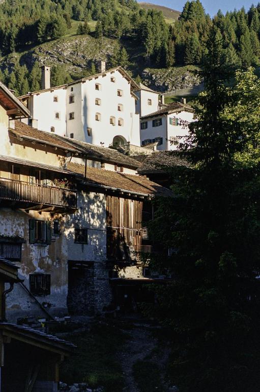 Příroda nedaleko hotelu