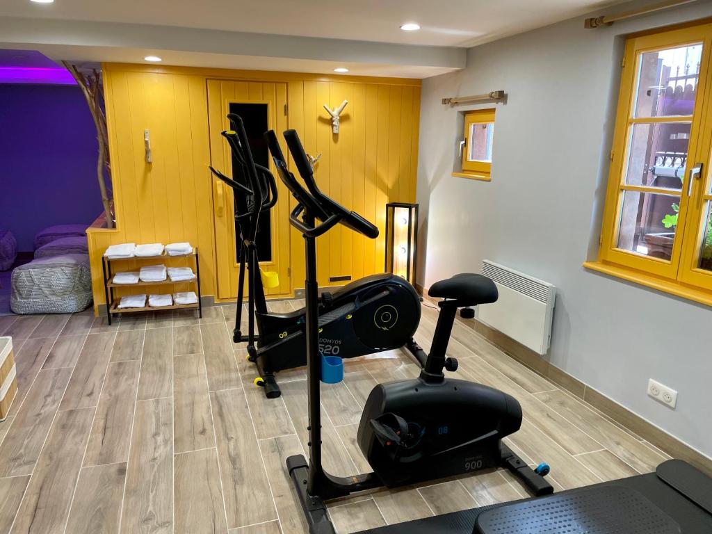 Fitness centrum a/nebo fitness zařízení v ubytování Hotel et Spa du Scharrach