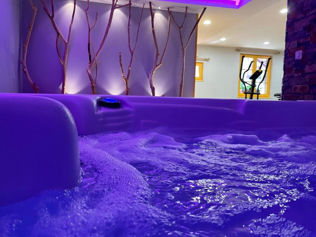 Fotografie z fotogalerie ubytování Hotel et Spa du Scharrach v destinaci Scharrachbergheim Irmstett