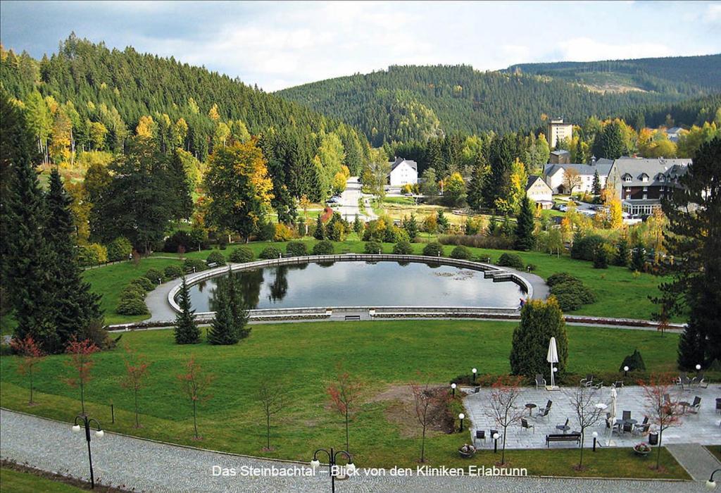 un pont sur un lac dans un champ verdoyant dans l'établissement Zu Gast im Wohnpark Erlabrunn, à Erlabrunn